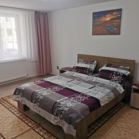 Apartament Bucovina Lägenhet Câmpulung Moldovenesc Exteriör bild
