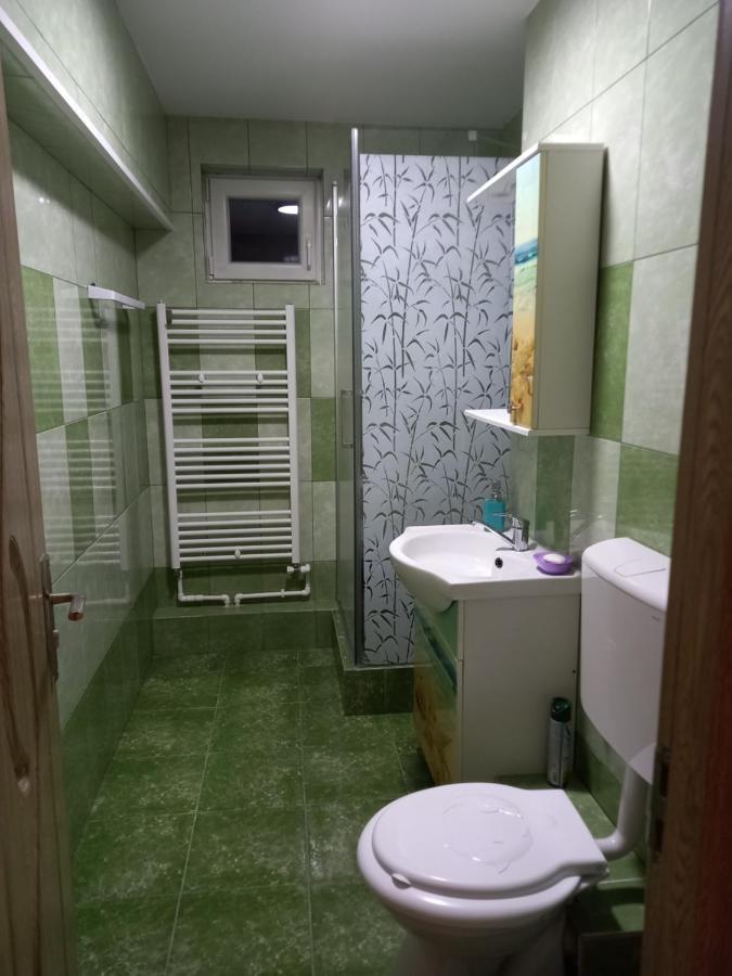 Apartament Bucovina Lägenhet Câmpulung Moldovenesc Exteriör bild