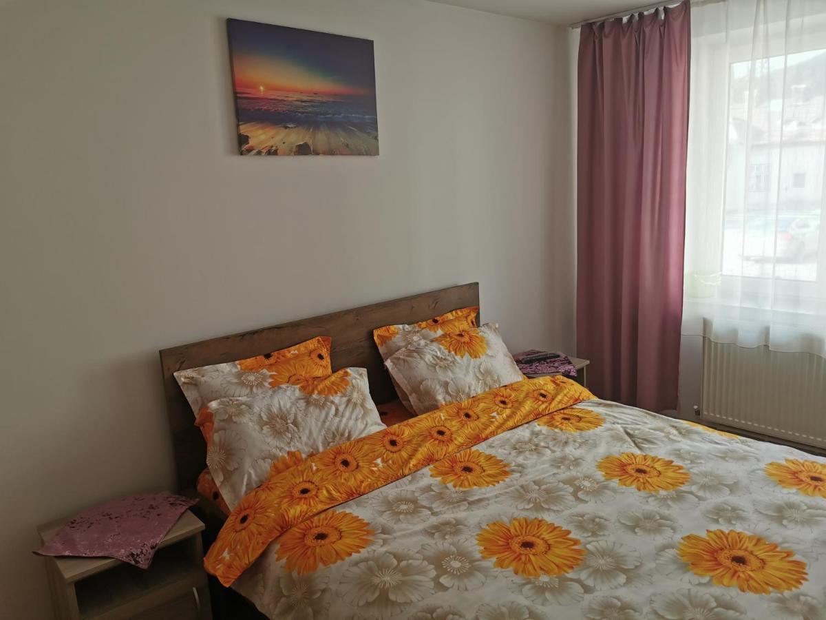 Apartament Bucovina Lägenhet Câmpulung Moldovenesc Exteriör bild