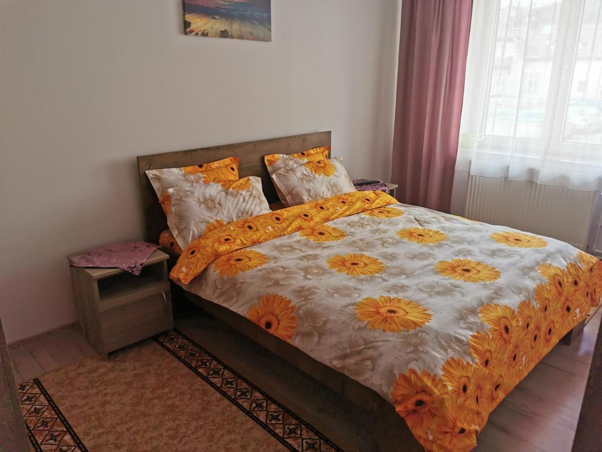 Apartament Bucovina Lägenhet Câmpulung Moldovenesc Exteriör bild