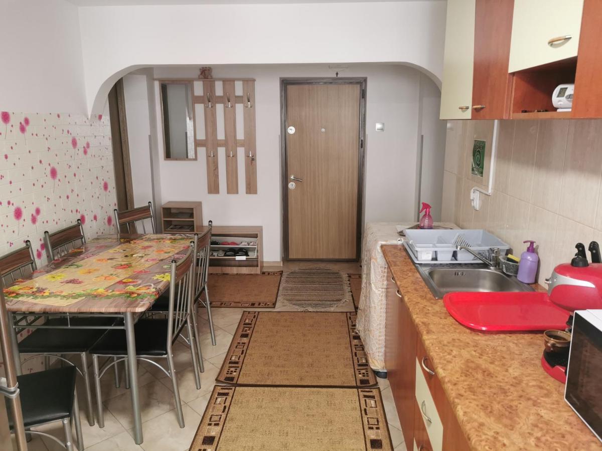 Apartament Bucovina Lägenhet Câmpulung Moldovenesc Exteriör bild