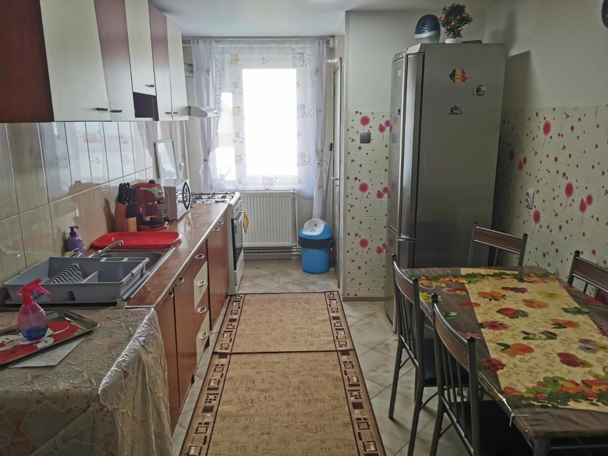 Apartament Bucovina Lägenhet Câmpulung Moldovenesc Exteriör bild